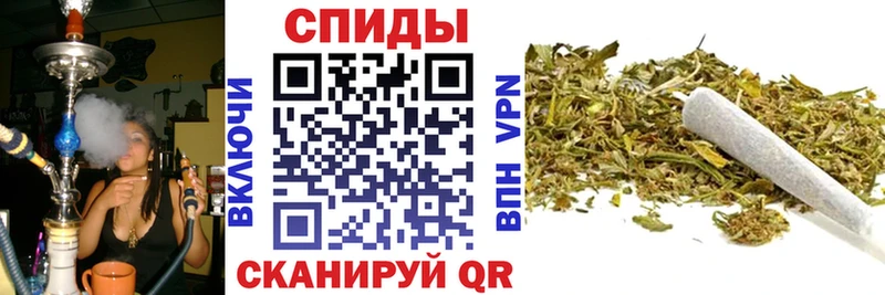 БУТИРАТ 99%  Старица 