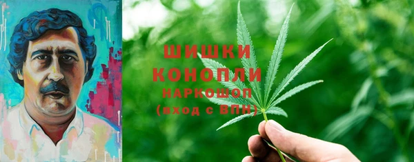 МДПВ Осинники
