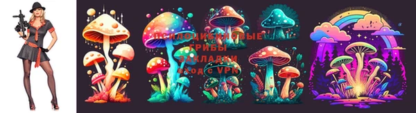 apvp Арсеньев