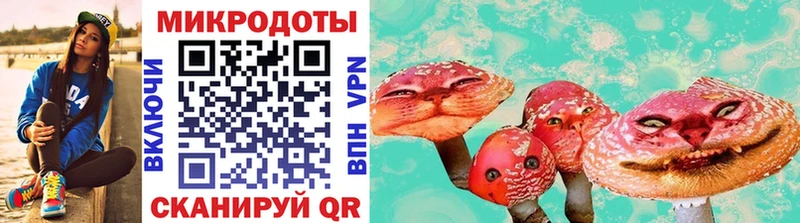 Галлюциногенные грибы прущие грибы  Старица 